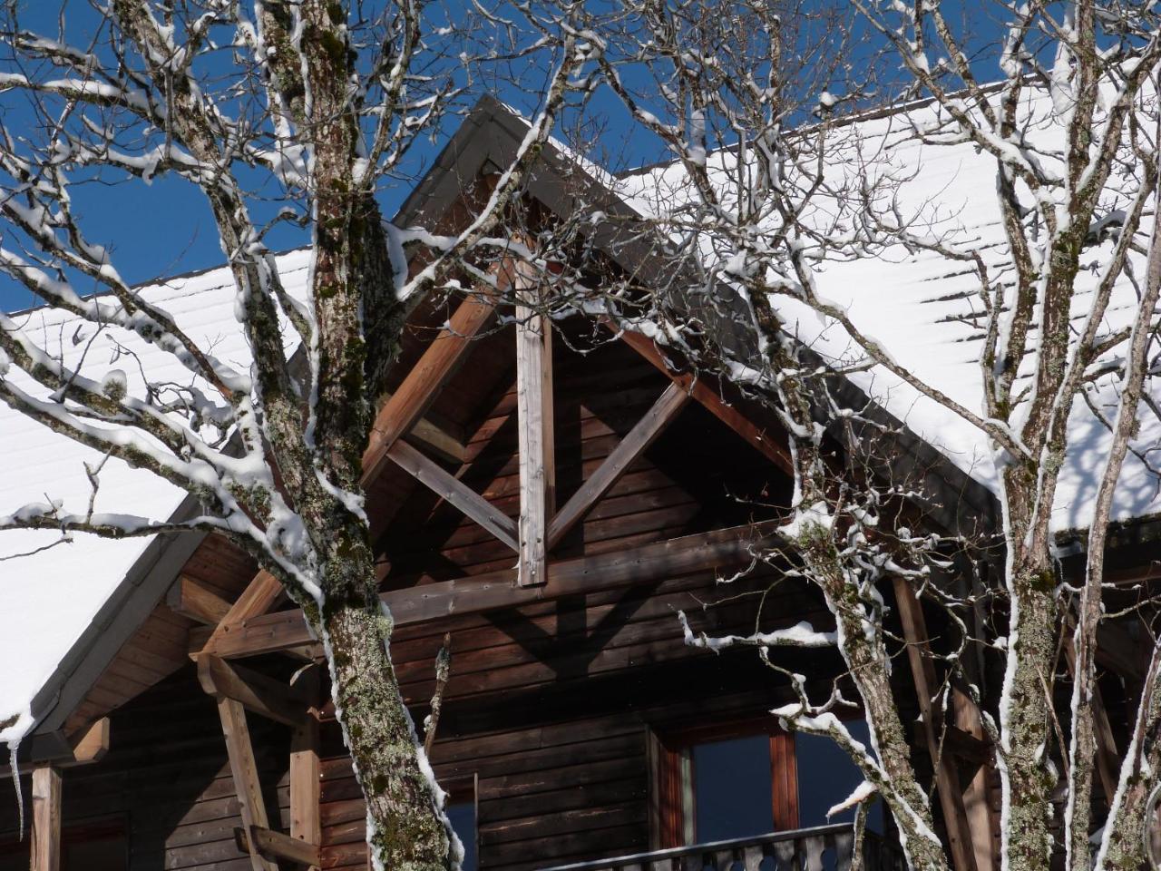 Residence Le Bois De La Reine Super Besse Exteriör bild