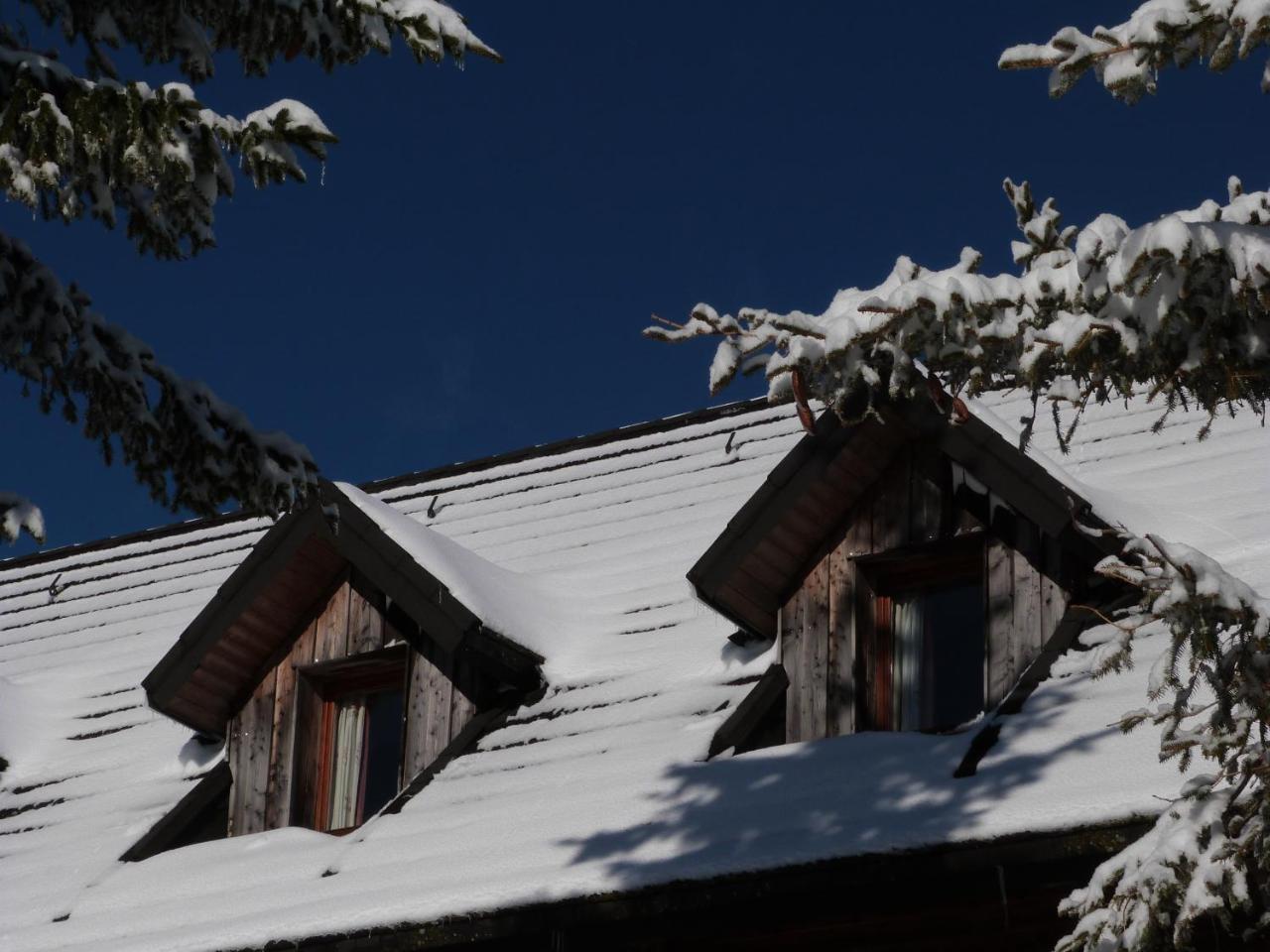 Residence Le Bois De La Reine Super Besse Exteriör bild
