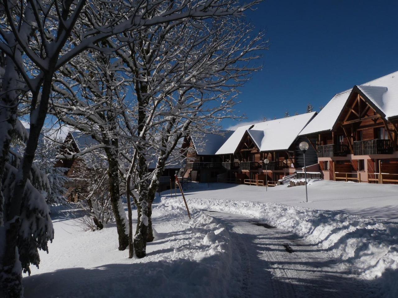 Residence Le Bois De La Reine Super Besse Exteriör bild