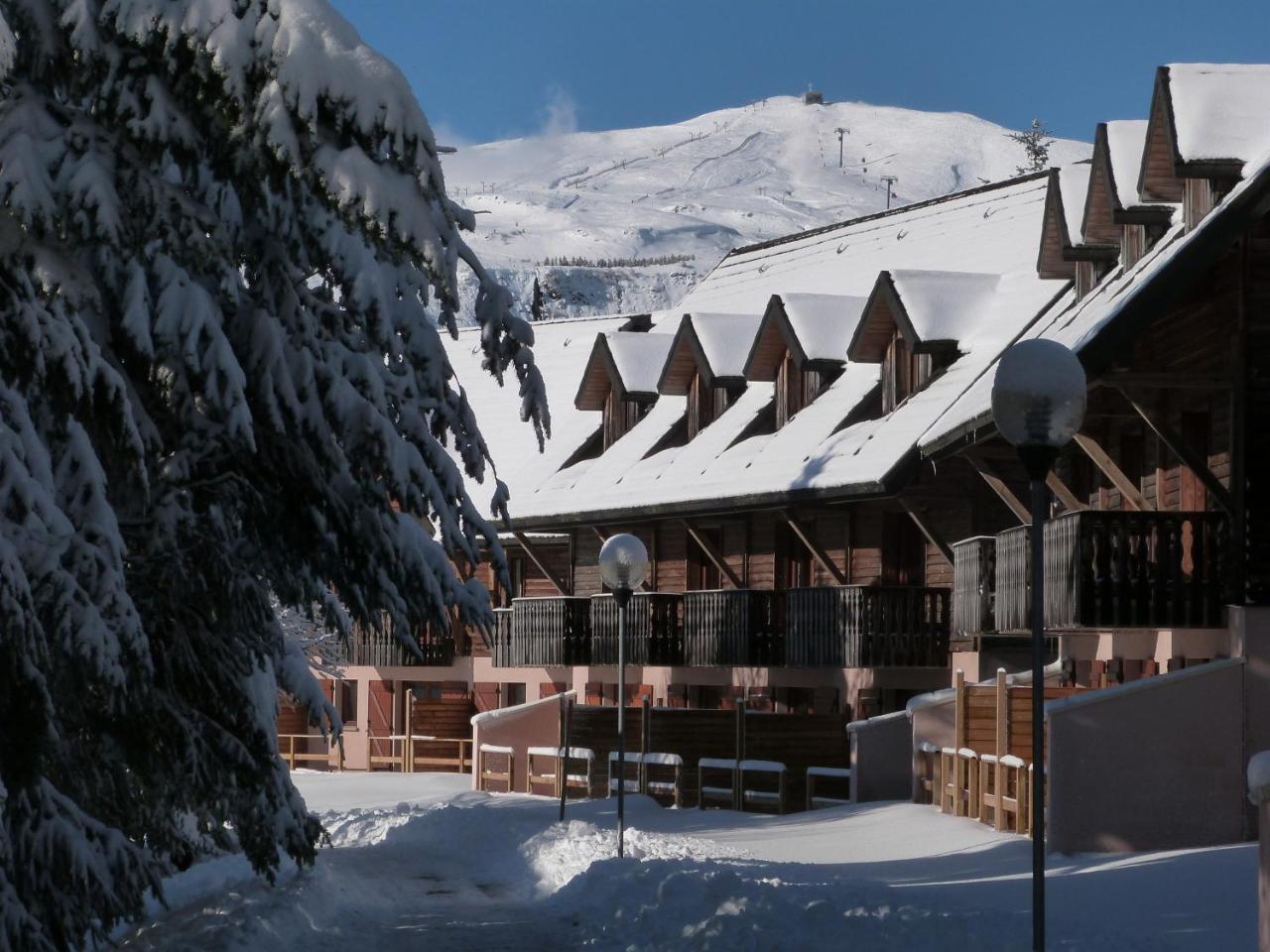 Residence Le Bois De La Reine Super Besse Exteriör bild